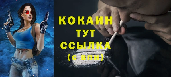 дурь Гусев