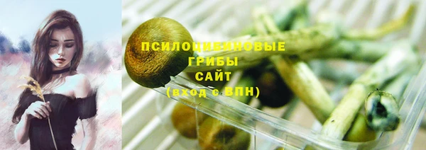 дурь Гусев