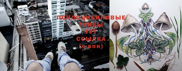 дурь Гусев
