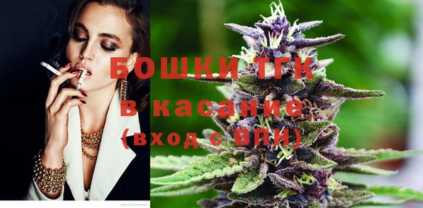 дурь Гусев