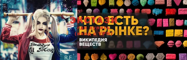 дурь Гусев
