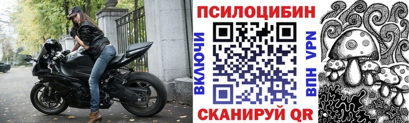 Псилоцибиновые грибы ЛСД как найти наркотики гидра как войти Павловск